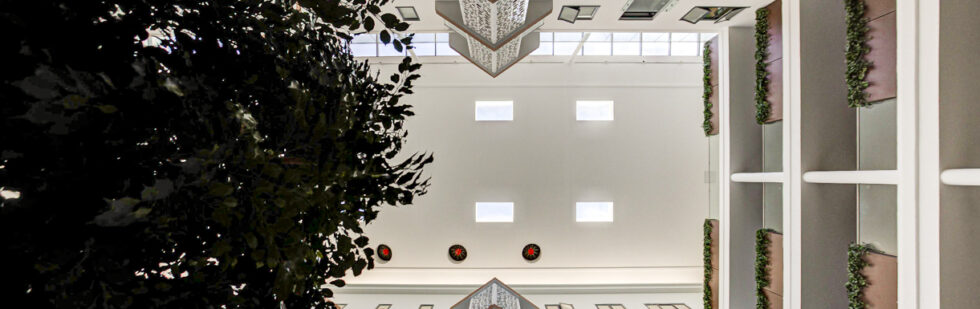 commercial building photography